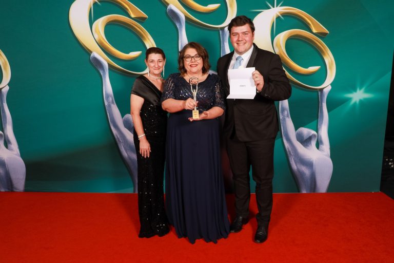 Australian Small Business Professional Champion, Winners