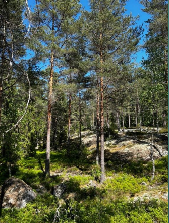 Hallefors