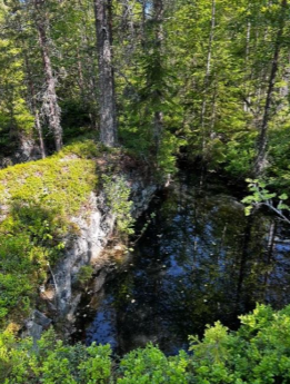 Grasberget