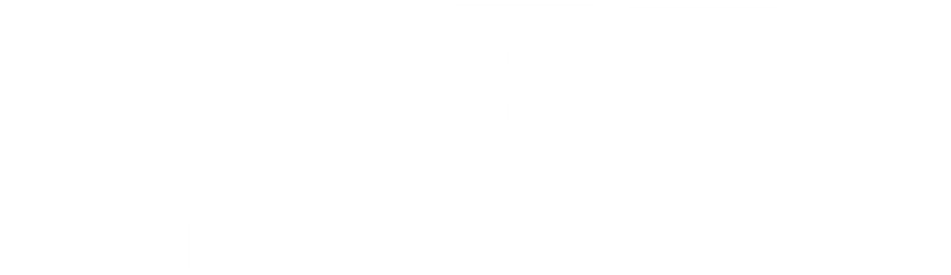 AMETS - Logo - Stacked Lockup - Reversed
